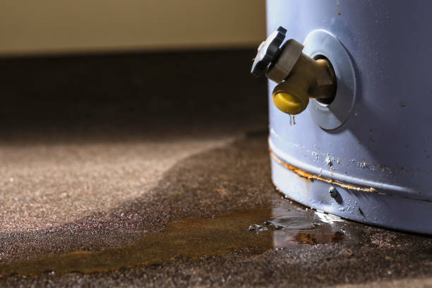 Best Flooded house restoration  in Longbranch, WA