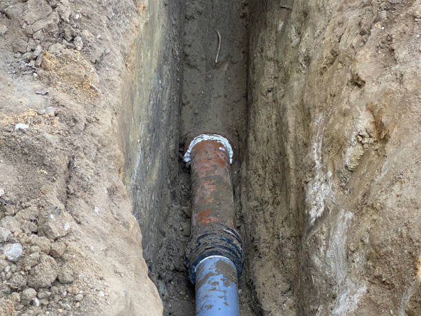Best Basement water damage restoration  in Longbranch, WA