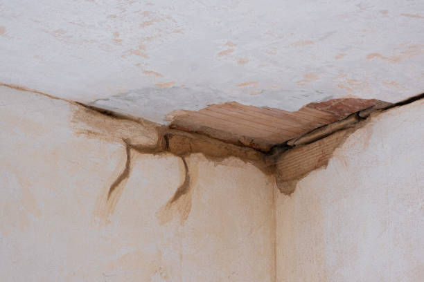 Best 24-hour water damage restoration  in Longbranch, WA