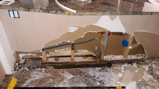 Best Fire Damage Restoration  in Longbranch, WA